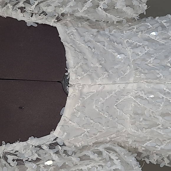 SM NWT Babydoll Dress Mesh with Petal shaped sequins Puff Sleeves - Picture 7 of 11